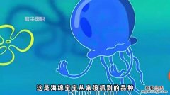 海绵宝宝第八季水母怪第几集