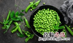 豌豆怎么保存 豌豆怎么保存起来