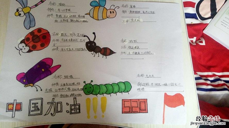 三个毛什么意思