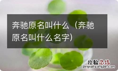 奔驰原名叫什么名字 奔驰原名叫什么