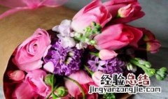 情人节送什么花可以家养呢 情人节送什么花可以家养