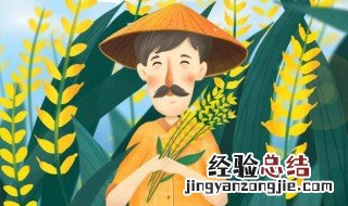 立夏后面的节气是什么