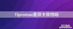 11promax是双卡双待吗