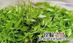 农村说的甜菜是什么菜 甜菜制糖