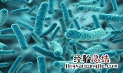 除病毒外组成生物体的基本单位是什么 除病毒外组成生物体的基本单位介绍