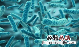 除病毒外组成生物体的基本单位是什么 除病毒外组成生物体的基本单位介绍