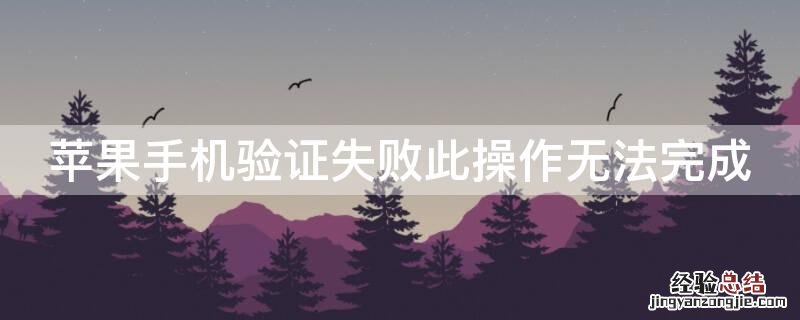 iPhone手机验证失败此操作无法完成