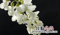 怎么贮存槐花茶 怎么贮存槐花