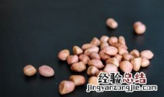 番豆是什么 什么是番豆