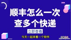 怎么查顺丰快递到哪里了