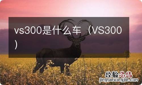 VS300 vs300是什么车