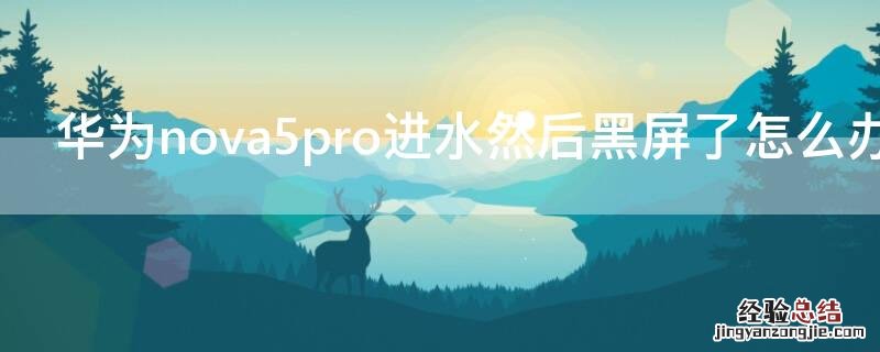 华为nova5pro进水然后黑屏了怎么办