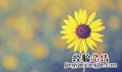 特殊符号网名女可爱2个字 2个字可爱女生特殊符号网名大全