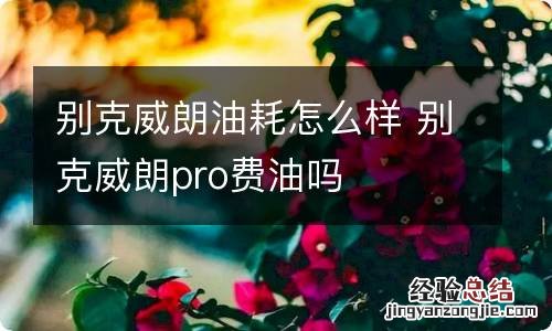 别克威朗油耗怎么样 别克威朗pro费油吗