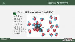 胞吞胞吐一定是大分子物质吗