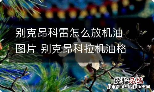 别克昂科雷怎么放机油图片 别克昂科拉机油格在哪