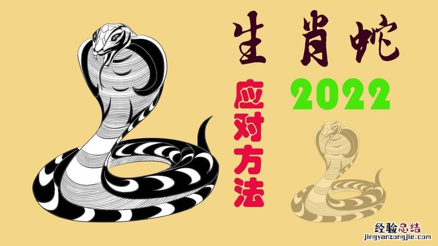 什么生肖和蛇相配