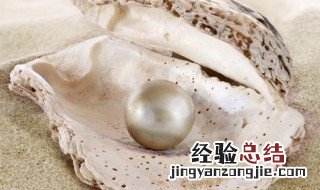 珍珠要怎么保存 如何存放珍珠
