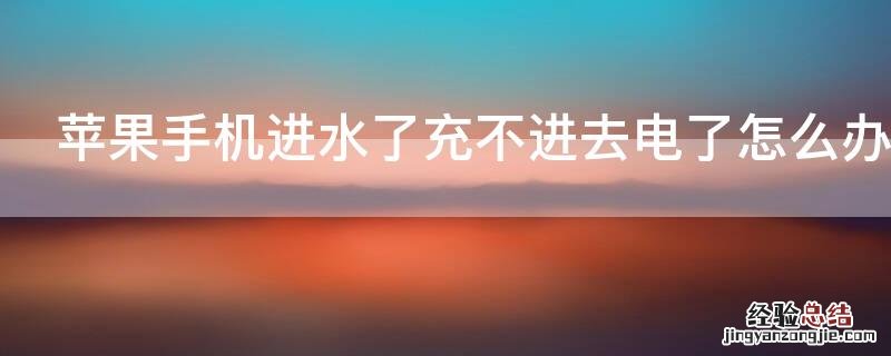 iPhone手机进水了充不进去电了怎么办