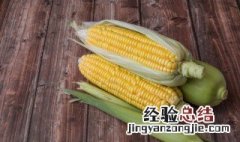 玉米是秋天收获的农作物吗 玉米是秋天成熟的吗