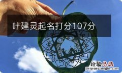 叶建灵起名打分107分