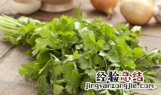 香菜切碎要放冷冻还是冷藏 香菜怎么冷冻保存新鲜不烂