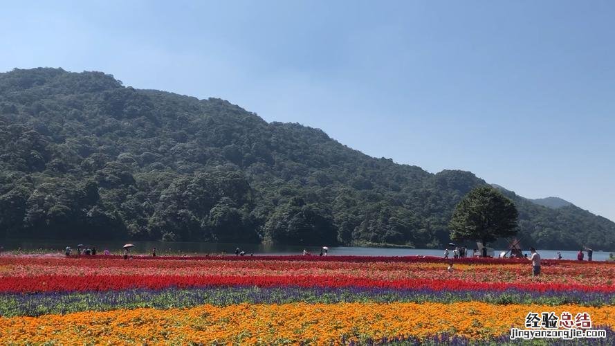 石门国家森林公园在哪里