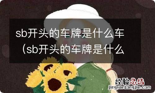 sb开头的车牌是什么车型 sb开头的车牌是什么车