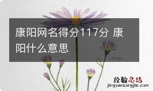 康阳网名得分117分 康阳什么意思