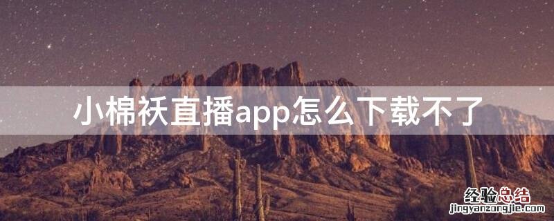 小棉袄直播app怎么下载不了