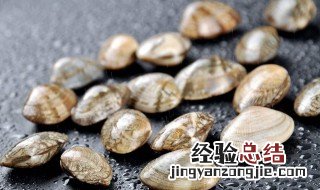 花甲内脏肠子怎么清理比较好吃 花甲内脏肠子怎么清理比较好