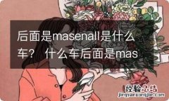 后面是masenall是什么车？ 什么车后面是masenall常见50种车标