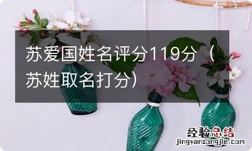 苏姓取名打分 苏爱国姓名评分119分