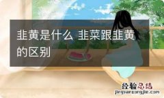 韭黄是什么 韭菜跟韭黄的区别