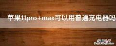 iPhone11pro max可以用普通充电器吗