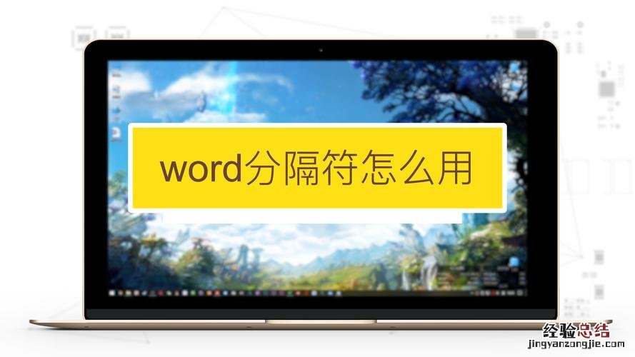 word文档分隔符在哪里