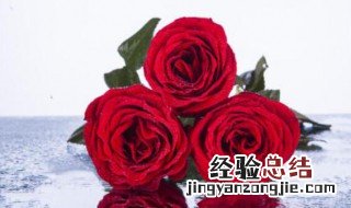 三朵玫瑰花代表什么意思 3朵红玫瑰代表什么