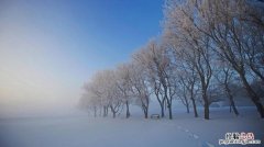 雪花像什么 雪花像什么比喻句