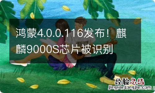 鸿蒙4.0.0.116发布！麒麟9000S芯片被识别