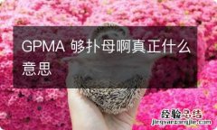 GPMA 够扑母啊真正什么意思