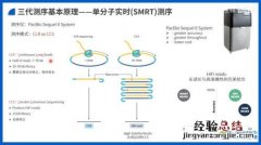 全基因组测序的意义是什么