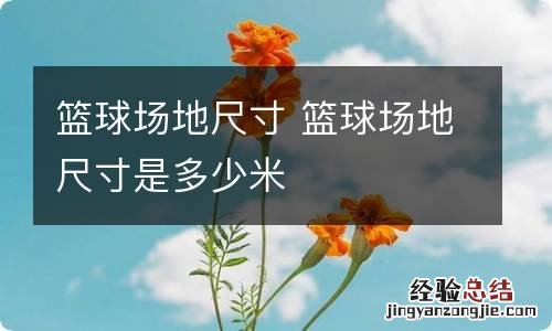 篮球场地尺寸 篮球场地尺寸是多少米