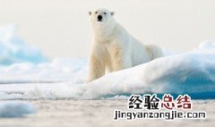 寒露节气特征 寒露节气特征是什么