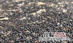 油菜籽那么小怎么能快速清理干净 怎么能快速清理干净油菜籽