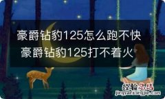 豪爵钻豹125怎么跑不快 豪爵钻豹125打不着火