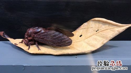 天然去雕饰的上一句是什么意思