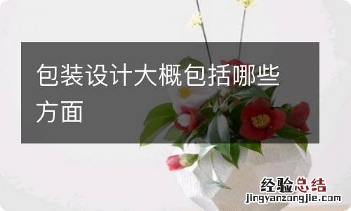 包装设计大概包括哪些方面