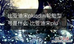 比亚迪宋plusdmi轮胎型号是什么 比亚迪宋plus轮胎规格参数