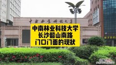 中南林业科技大学在哪里