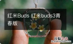 红米Buds 红米buds3青春版